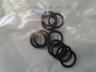 NEW GLOW WORM 0020043217 O RING PACK 10